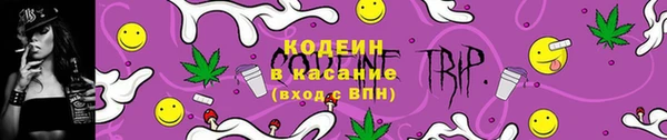 соль ск Гусев