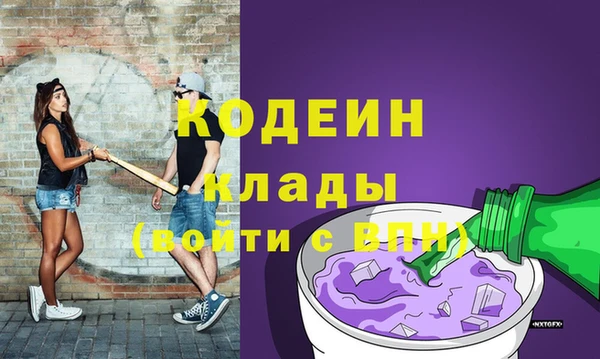 соль ск Гусев