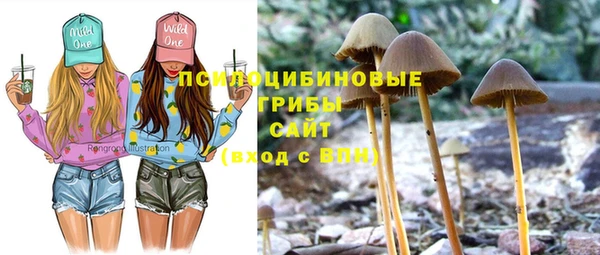 спиды Гусь-Хрустальный