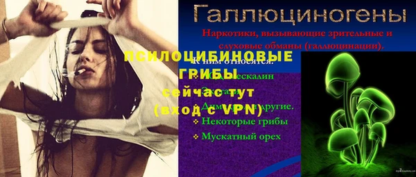 соль ск Гусев